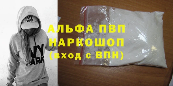 молекула духа Осташков