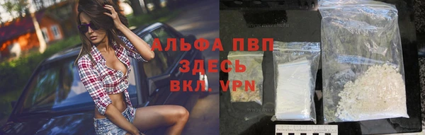 молекула духа Осташков