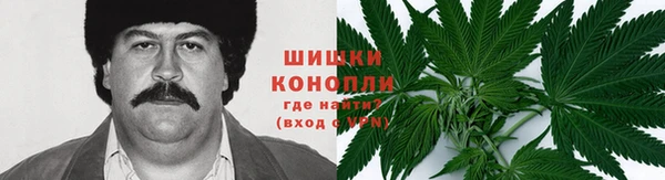 молекула духа Осташков