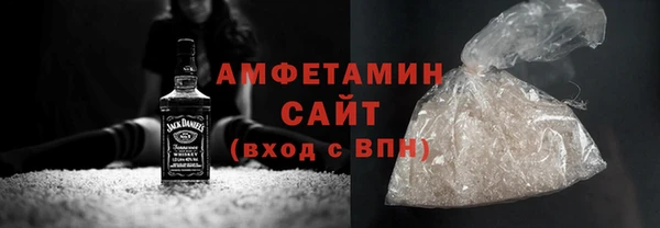 молекула духа Осташков