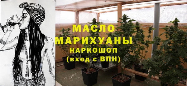 молекула духа Осташков