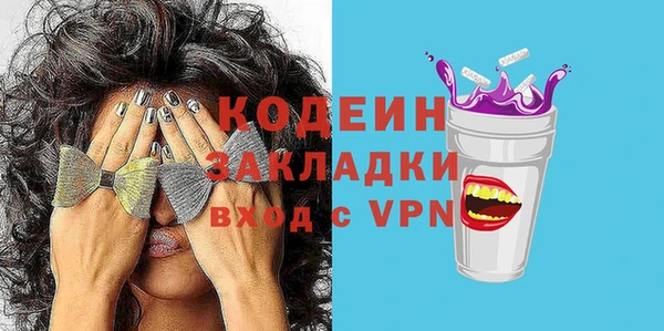 молекула духа Осташков