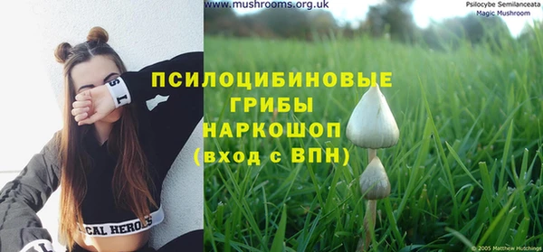 Альфа ПВП Остров