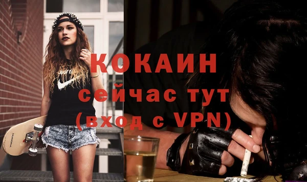 молекула духа Осташков