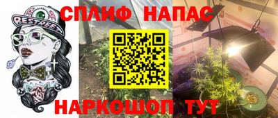 мяу мяу мука Абакан