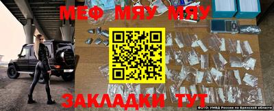 мяу мяу мука Абакан