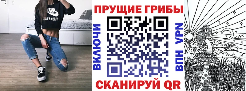 Галлюциногенные грибы GOLDEN TEACHER Махачкала