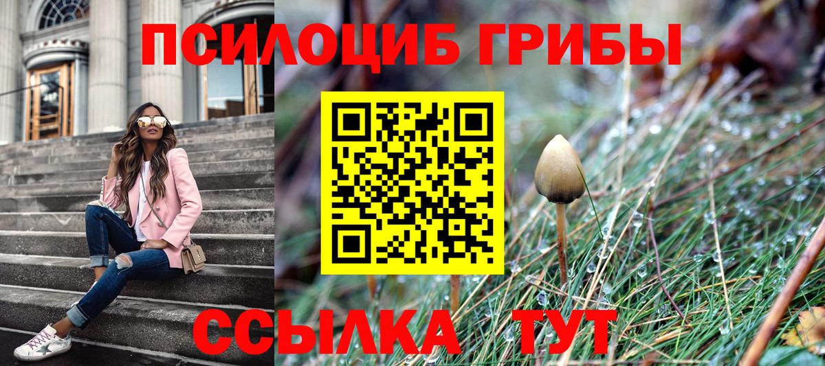 Псилоцибиновые грибы Psilocybine cubensis  Махачкала  Псилоцибиновые грибы Cubensis 