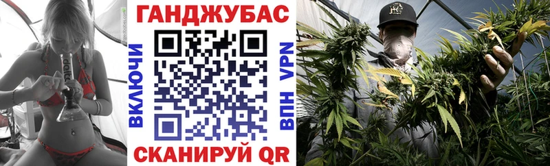 Конопля марихуана omg ТОР Махачкала